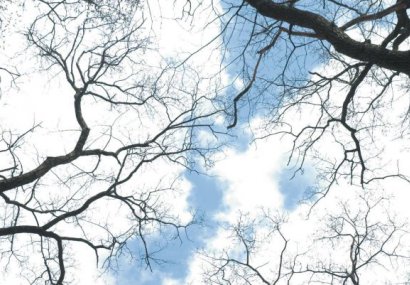 Свобода - свободата като изпитание, като дар и избор. Непоносимост на свободата