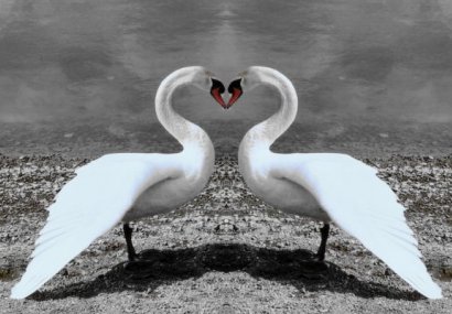 Любов, обич, обичта като живот, платонична любов, вяра в любовта