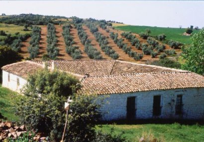 Ценности - Георги Гугов: Християнското разбиране за даденостите на живота