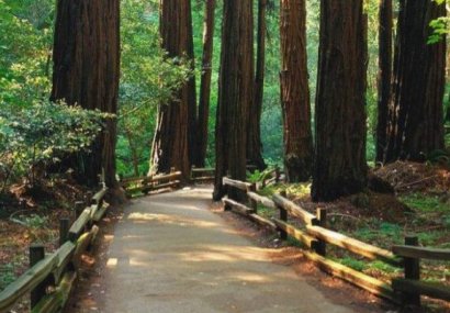 Ценности, ценностни представи. Същина, смисъл и измерения на ценностите