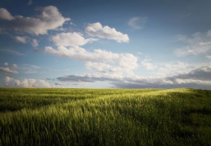 Свобода, свобода и отговорност, свобода на съвестта, граници на свободата