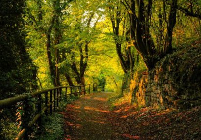 Ценности, добродетели, ценностно съгласие, ценностен релативизъм